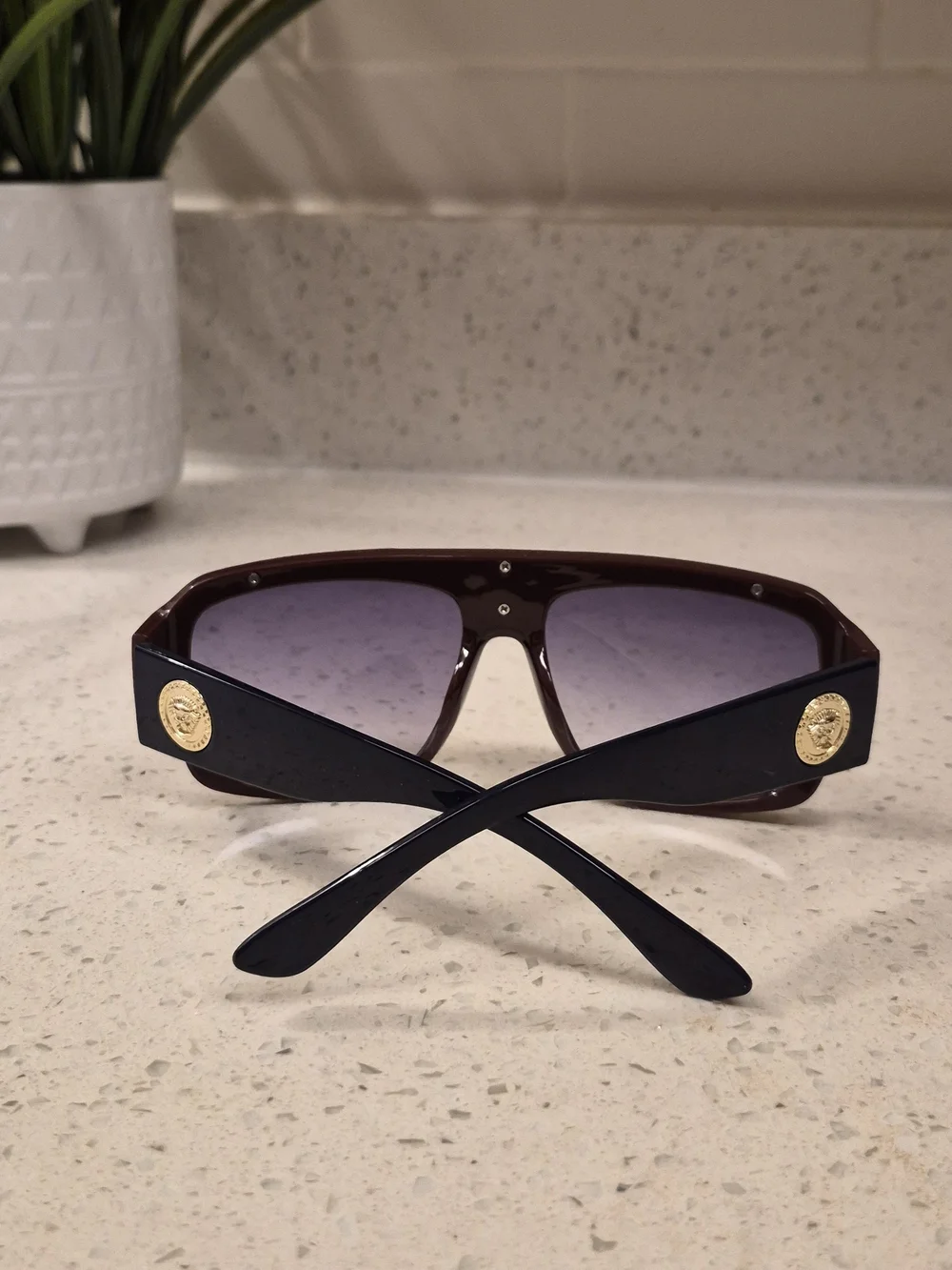 Versace Mens Sunglasses in Dark Burgundy with Gold Accent
